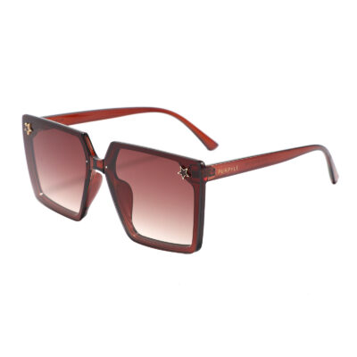 Paris 201115-4 Square Oversized Tinted Sunglasses Brown